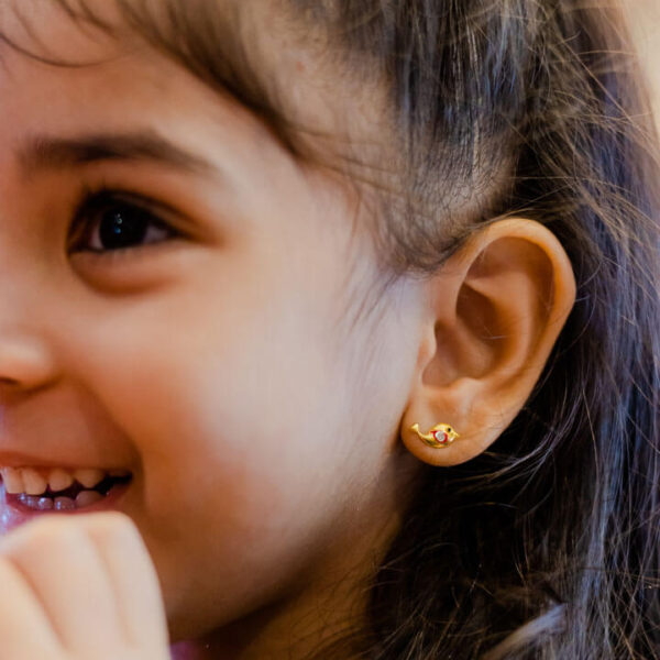 Little Charm Earrings